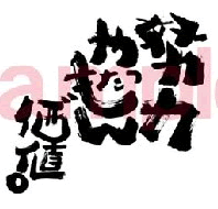 努力やったもん価値